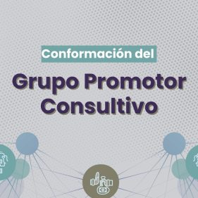 grupo promotor consultivo grupo promotor consultivo